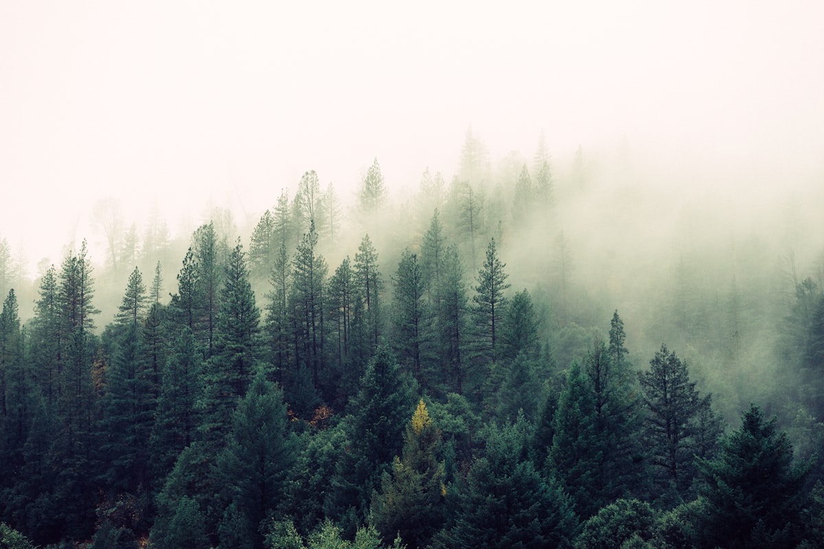 Punggungan gunung dengan kabut menggantung di lembah